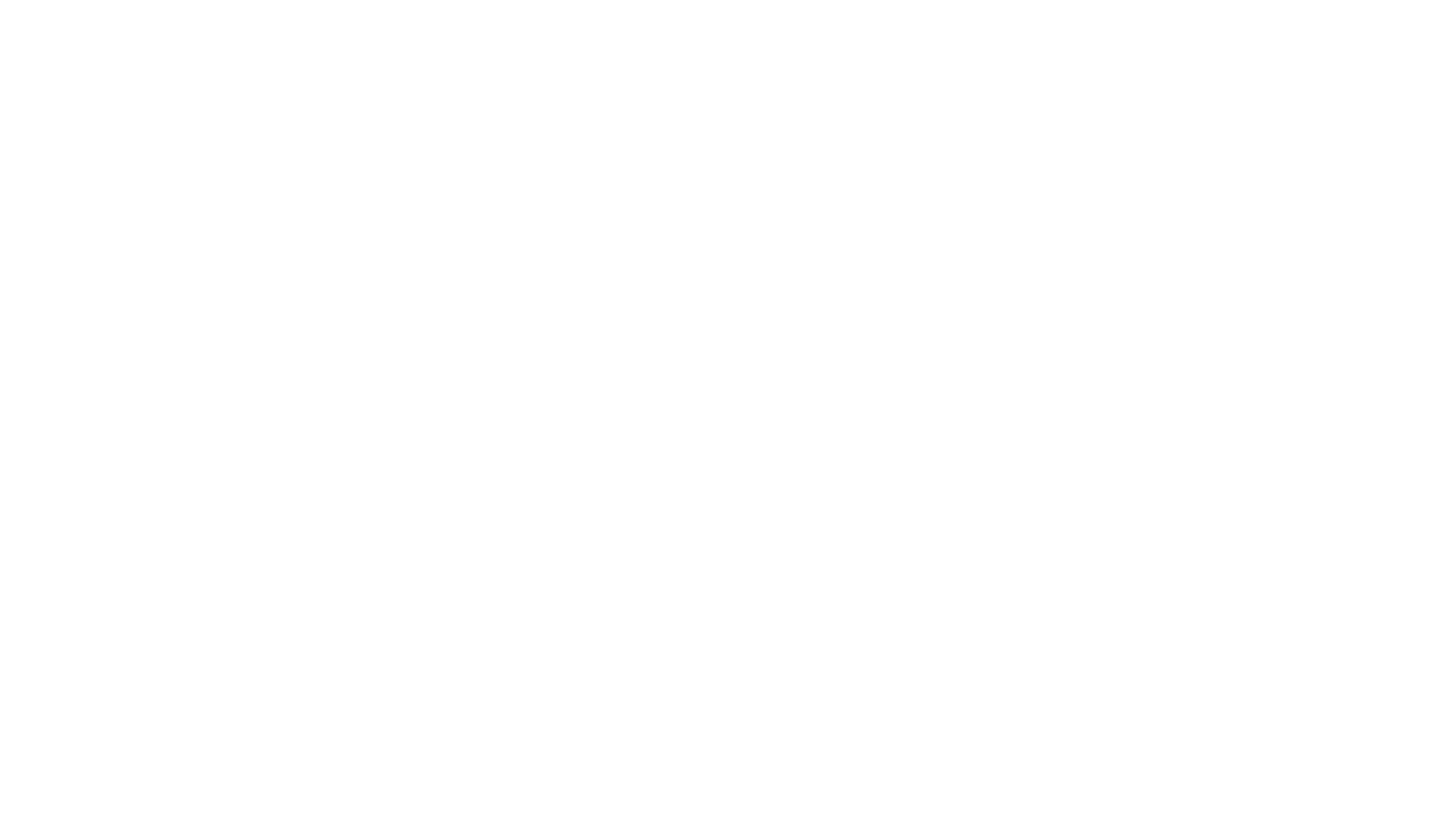 Platform to Promote the Protection of Journalism and Safety of Journalists